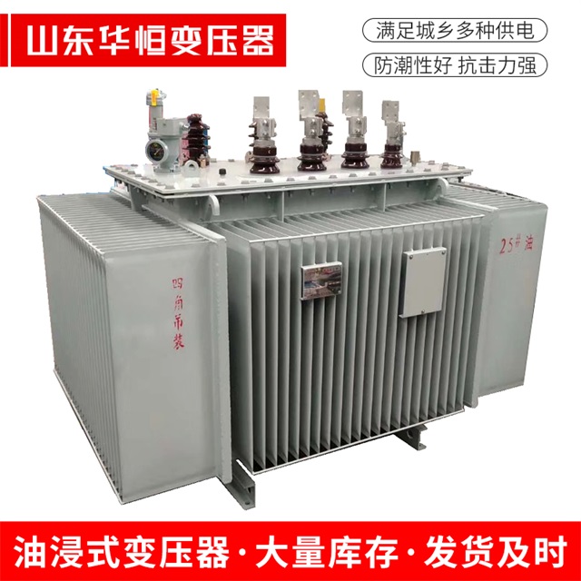 S13-10000/35拉孜拉孜拉孜电力变压器厂家
