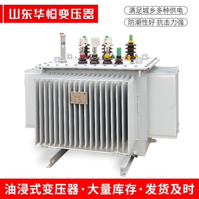 S13-10000/35拉孜拉孜拉孜电力变压器