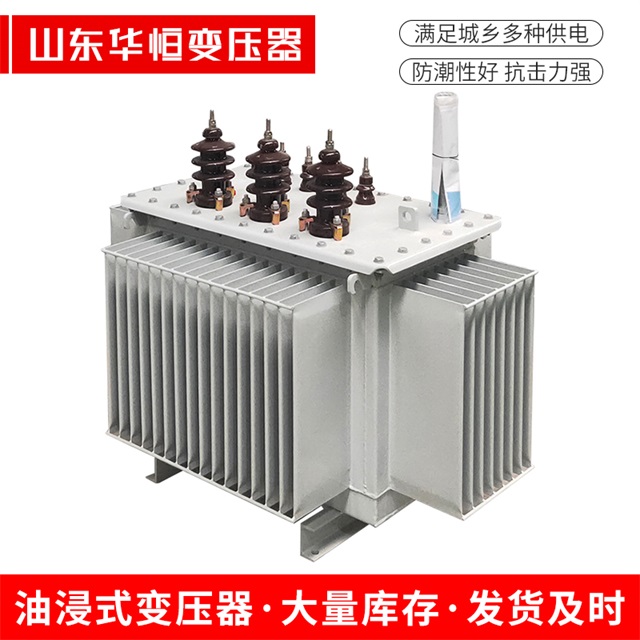 S13-10000/35拉孜拉孜拉孜油浸式变压器厂家